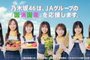 【乃木坂46】スレ民で国消国産を学んでるのワイだけ説wwwwwwwww