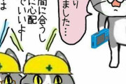 現場猫　かわいい　大好き