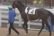 【競馬】オグリキャップ直系の子・フォルキャップはデビュー戦で4着！まさかの超出遅れ・・・