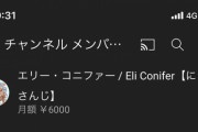 【にじさんじ】エリーの病状報告はクソだからTwitterしてる暇あるなら黙っとけやっていつも思ってるよ