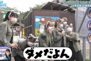日向坂46、カバと絡んだ結果www