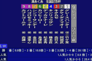 【ばんえい十勝】違和感しかない画面