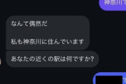 【お試しあれ】X民「SNSで相手が詐欺アカウントか確認する方法。最寄り駅を聞かれたら○○って答えてみてください」