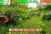 【悲報】ハンター「目の前にヒグマおるけど撃っていいの？」警官「...」発砲命令出さず