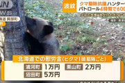 【乞食速報】ヒグマ一頭駆除するだけで5万もらえるぞ！！！お前ら急げ！！！！！