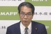 【朗報】日本政府、備蓄米の放出を検討