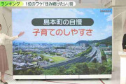 「住み続けたい街」1位…自慢は“子育て”