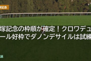 宝塚記念の枠順が確定！クロワデュノール好枠でダノンデサイルは試練か