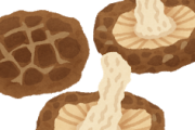 【急募】しいたけの美味しい食べ方ｗｗｗ