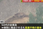 多摩動物公園で飼育員がサイに突かれ心肺停止に・・・
