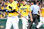 【悲報】阪神矢野監督、うっかり同じミスを30回繰り返してしまう