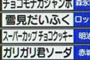チョコモナカジャンボ「アイス総選挙3位です」←分かる ジャイアントコーン「2位です」←まぁ…分かる