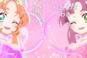 ニコニコ動画で「名探偵プリキュア！」をコメント有りで配信した結果・・・終わり散らかすｗｗｗｗｗｗｗｗｗ