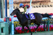 【競馬】　ヴェルトライゼンデ骨折　全治3ヶ月