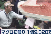 【またあいつらかよ…】ついに日本人がマグロを食べられなくなる時代へ