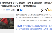 【悲報】男性がクマに襲われた羅臼岳、親グマ1頭を駆除。子グマ2頭は逃走