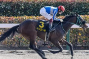 【競馬予想】第28回ユニコーンS(GIII) /2023