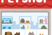 ペットショップで売れ残った魚はどうなるんだ？