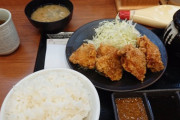 全国のからあげ専門店の定食がこれwwwwwwww（画像あり）