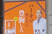 【悲報】美容外科医「バーキン買うなら豊胸しろ！！」→女さん達大激怒