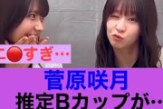 【きた】乃木坂46菅原咲月の推定Bが特盛されている模様w#乃木坂46