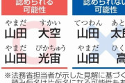 法務省「光宙（ぴかちゅう）って名付けてもいいよ」