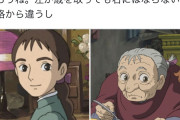 【悲報】フェミさん「宮崎駿監督は少女と老婆を別の生き物だと思ってるよね、老婆だけ醜く描きすぎ」 3.2万いいね