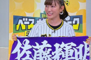 ｢れにちゃん、毎日野球を観られて幸せ」｢コメント百点満点」｢終始楽しそうだったね｣『MBSベースボールパーク』実況まとめ！
