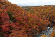 岩手県に旅行しに行きたいんやが