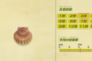 【あつ森】ホタテ拾うと乞食見たいのがくれってくるんですけど・・・【どうぶつの森 まとめ】