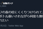 『願望を自傷行為だと勘違いされた変態』『自分の冠名がついたレースで見事当てる藤村さん』【Vtuber】