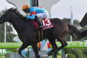 【競馬予想】[1]第67回産経賞オールカマー(G2) /2021