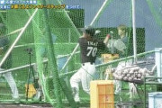 日ハム今井のインコース打ちｗｗｗｗｗｗ