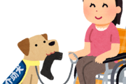 【10万いいね】プロの介助犬、『特別な訓練』で人間を超えるwwwww