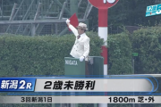 【新潟2R】ダノンザタイガー＆川田騎手がｷﾀ━━━━(ﾟ∀ﾟ)━━━━!!
