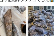 上海「配給のタケノコだぁっ！」　市民「え、これ竹じゃん…」