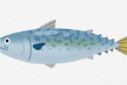 【がん】青魚に含まれる「オメガ3脂肪酸」、ガンの腫瘍を殺す