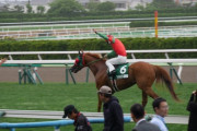 【競馬】マイネルミラノ「札幌やめて新潟記念行くわ」アルバートドック＆クランモンタナ＆ダコール「俺も俺も」