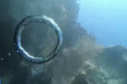 【動画】海中で、2つのバブルリングが1つになる様子が撮影される