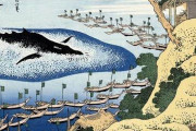何故祖先はクジラを食おうと思ったのか