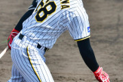 【阪神】岡田監督は中川勇斗に興味がないのか