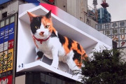 新宿駅前に「巨大猫」出現！中国や韓国で話題になった大型3Dビジョンがついに日本上陸きたああああ！！
