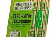 【衝撃】女性さん｢新卒10ヶ月で仕事やめたけどいざとなったらこれで稼いでいけると確信した｣