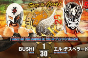 BUSHIvsエル・デスペラード 『BEST OF THE SUPER Jr. 29』Bブロック公式戦