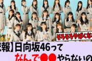 日向坂って〇〇しなくて大丈夫なの？【乃木坂46/櫻坂46/日向坂46】