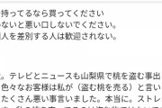 【悲報】メルカリで「大量の桃」を販売してた人、心無い誹謗中傷に苦言
