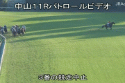 【競馬】凄い勢いで三浦皇成だけラチに激突ｗｗ