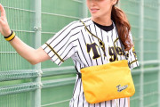 新作ソシャゲ「阪神ーHanshinー」にありがちなこと