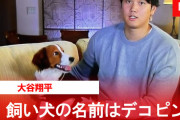 乃木坂オタク「大谷翔平は乃木オタ、ソースは愛犬の名前」