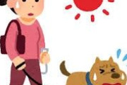 この酷暑で昼間にアスファルトを散歩させる飼い主について